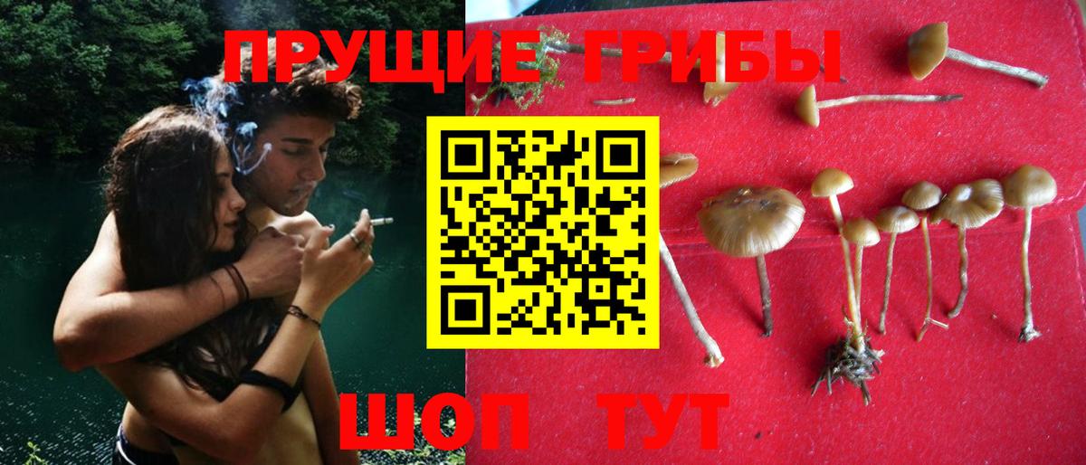 Псилоцибиновые грибы MAGIC MUSHROOMS Михайловск